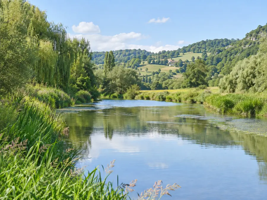 Rivière calme dans une vallée verte bordée de saules